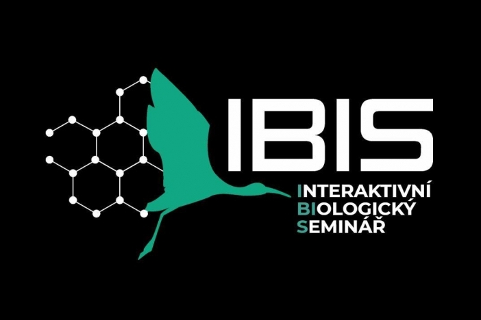 Obrázek článku IBIS korespondenční seminář pro studenty