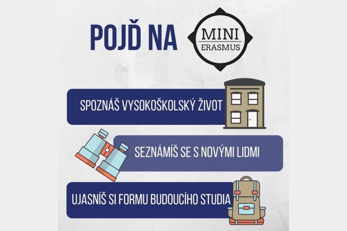 Obrázek článku Projekt MiniErasmus