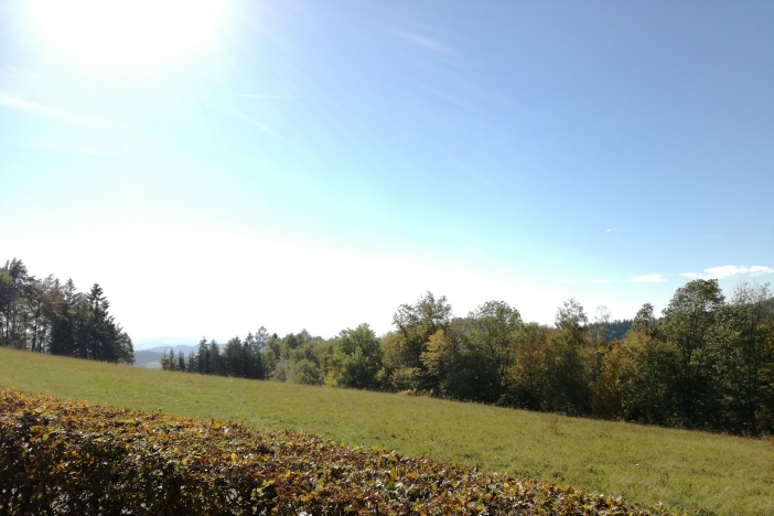 Obrázek článku Sbor Basové G se chystá do Španělska