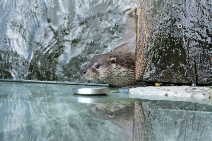 Obrázek aktuality Léto ve znamení vědy