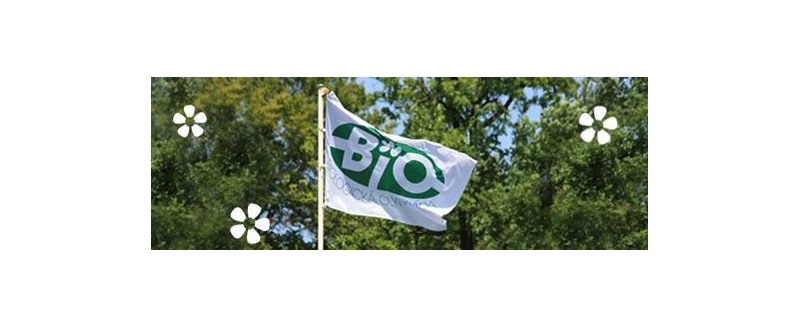 Obrázek článku Školní kolo biologické olympiády kategorie C