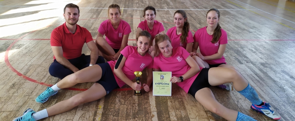 Obrázek článku Šahy 2019