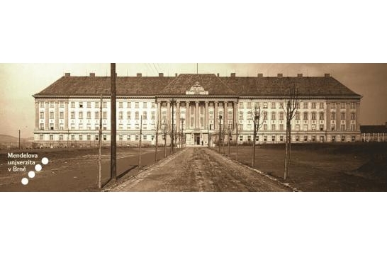 Obrázek aktuality Manažerská simulační hra UNISIM