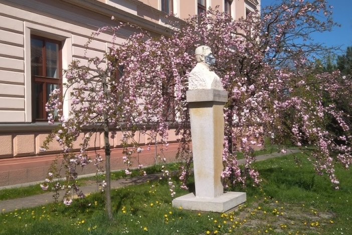 Obrázek aktuality Provoz školy od 1. září 2020 a COVID-19