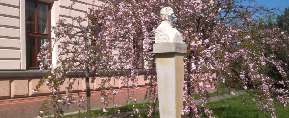 Obrázek článku Roušky ve škole