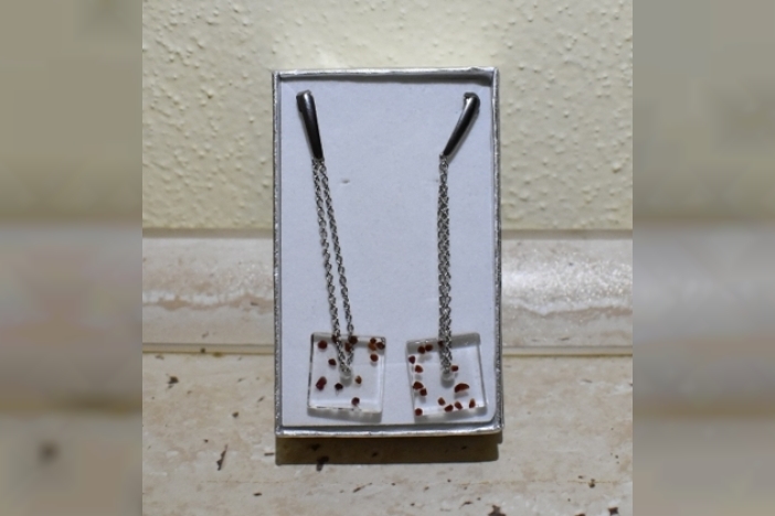 Obrázek článku Bohatství Země