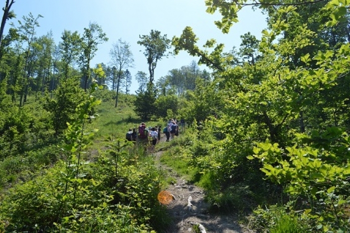 Obrázek článku Vlastivědná exkurze 1.E