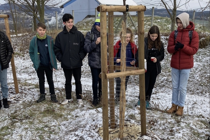 Obrázek aktuality Výlet za třídním stromem