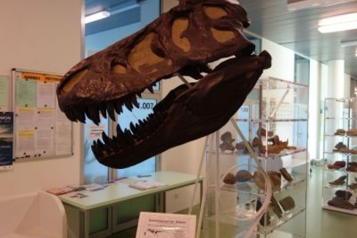 Obrázek aktuality Studuj PřF na Univerzitě Palackého v Olomouci