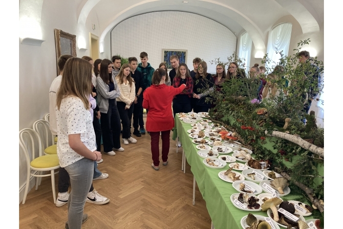 Obrázek aktuality Není houba jako houba