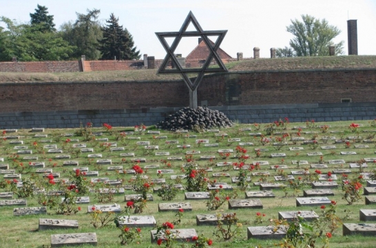 Obrázek článku Historická exkurze do Terezína a Mělníka