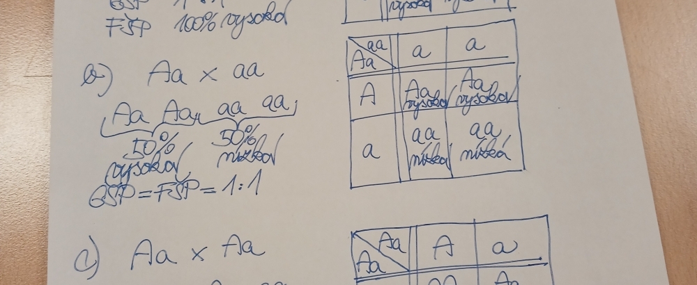Obrázek článku Genetick&yacute; workshop 2026