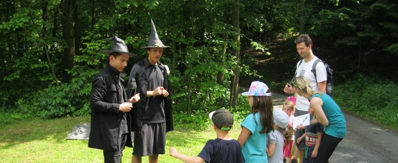 Obrázek článku Pohádkový les