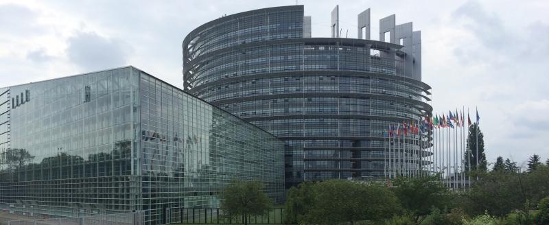 Obrázek článku Návštěva Evropského parlamentu ve Štrasburku
