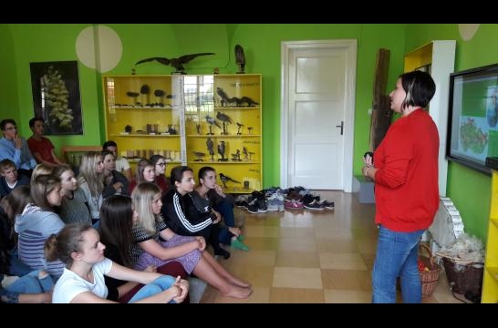 Obrázek aktuality Za houbami do muzea