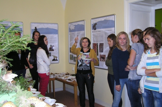 Obrázek aktuality Není houba jako houba