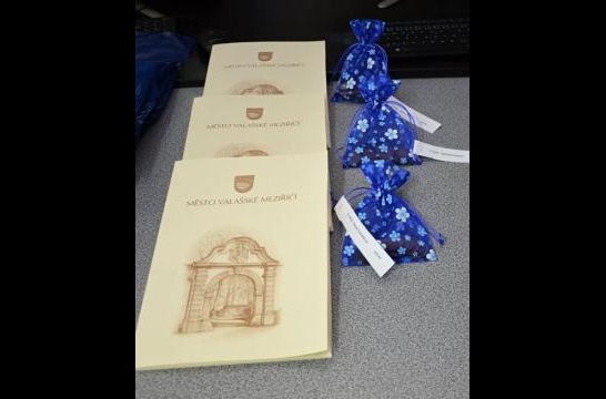 Obrázek aktuality Literární úspěchy