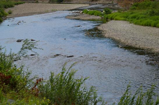 Obrázek aktuality Vyroste na Bečvě přehrada?