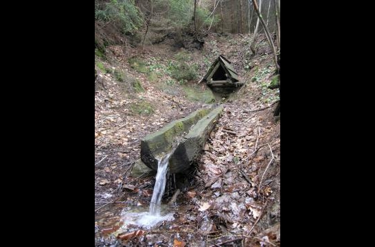 Obrázek článku Živé studánky