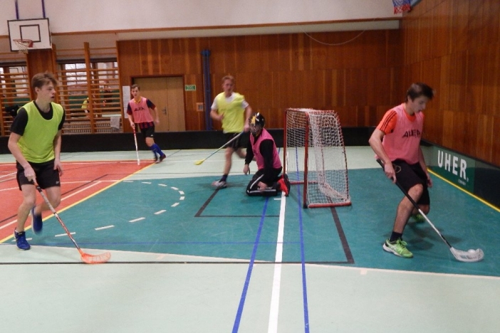 Obrázek aktuality Vánoční turnaj ve florbalu