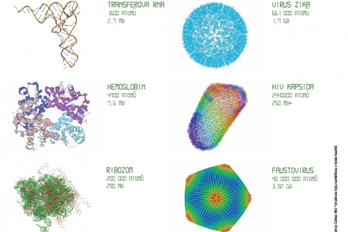 Obrázek aktuality Masarykova univerzita nabízí studentům zapojení do projektů