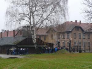 Osvětim a Krakov 2015: vstup do Auschwitz