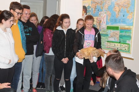 Pravěk trochu jinak Nad paleolitickými nálezy Muzeum regionu Valašsko, zámek Kinských Valašské Meziříčí