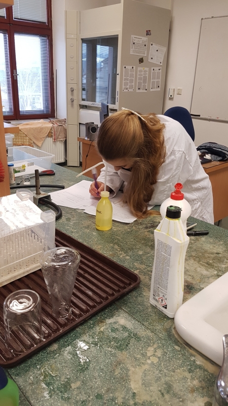 kolní kolo CHO kategorie D, laboratoř chemie GFPVM, leden 2019 (foto Eva Hlaváčová) (2)