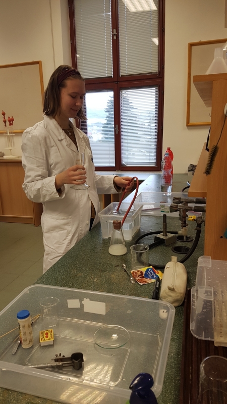 kolní kolo CHO kategorie D, laboratoř chemie GFPVM, leden 2019 (foto Eva Hlaváčová) (4)