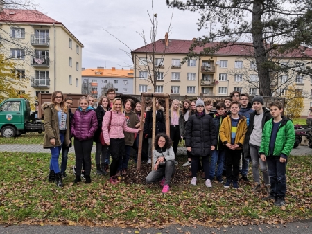 Sázení stromů 12. 11. 2019 1. E (foto Barbora Šimíčková)