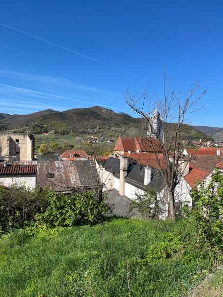 autor: Jana Bartošová