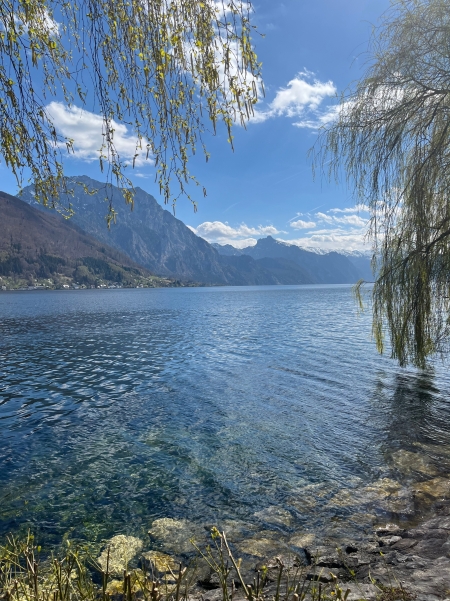 autor: Jana Bartošová