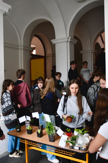 autor fotografie: Samuel Vereš