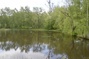 Zelená stezka - Zlatý list, školní kolo, 16. 5. 2016, rybník v areálu bývalých kasáren VM (foto: Monika Hlosková)