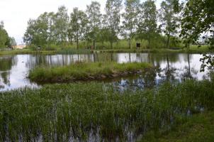 Zelená stezka - Zlatý list, školní kolo, 16. 5. 2016, rybník v areálu bývalých kasáren VM (foto: Monika Hlosková)