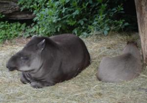 Krajské kolo Biologické olympiády kategorie C 2016, 18. 5. 2016, ZOO Zlín (foto Monika Hlosková) (17)