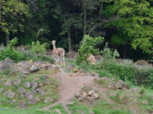 Krajské kolo Biologické olympiády kategorie C 2016, 18. 5. 2016, ZOO Zlín (foto Monika Hlosková) (19)