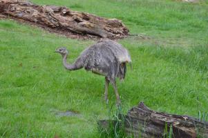 Krajské kolo Biologické olympiády kategorie C 2016, 18. 5. 2016, ZOO Zlín (foto Monika Hlosková) (20)