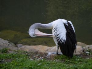 Krajské kolo Biologické olympiády kategorie C 2016, 18. 5. 2016, ZOO Zlín (foto Monika Hlosková) (23)