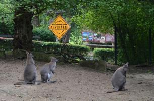 Krajské kolo Biologické olympiády kategorie C 2016, 18. 5. 2016, ZOO Zlín (foto Monika Hlosková) (24)