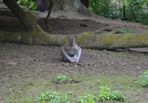 Krajské kolo Biologické olympiády kategorie C 2016, 18. 5. 2016, ZOO Zlín (foto Monika Hlosková) (25)