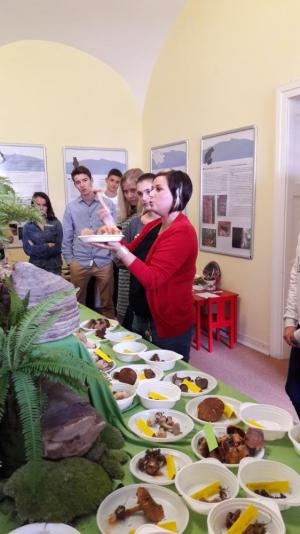 Není houba jako houba, výukový program Muzea regionu Valašsko, Zámek Kinských Valašské Meziříčí, 23. 9. 2016 (foto: Barbora Šimíčková)