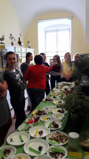 Není houba jako houba, výukový program Muzea regionu Valašsko, Zámek Kinských Valašské Meziříčí, 23. 9. 2016 (foto: Barbora Šimíčková)