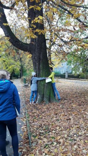 Den stromů, aktivity třídy 2. B v parku Botanika, 25. 10. 2016 (foto: Barbora Šimíčková)