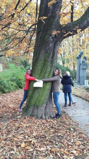 Den stromů, aktivity třídy 2. B v parku Botanika, 25. 10. 2016 (foto: Barbora Šimíčková)