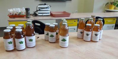 Výroba mastí, mýdel, prášků, sirupů, biologická laboratoř GFPVM, 18. 11. 2016 (foto: Barbora Šimíčková)