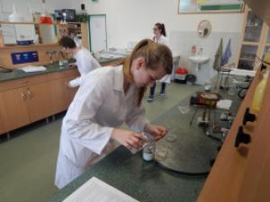 Školní kolo 53. ročníku CHO kategorie C, chemická laboratoř GFPVM, laboratorní část soutěže, 24. 2. 2017 (foto: Pavel Daniš)