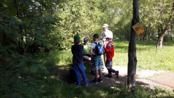 Zlatý list 2017 - mladší kategorie, lesopark u Valašského ekocentra Valašské Meziříčí, 19. 5. 2017 (foto: Barbora Šimíčková)