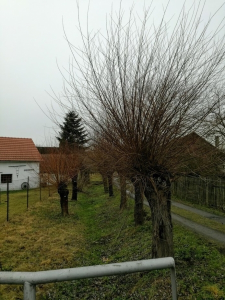 Soustředění pěveckého sboru Basové G v Bělotíně