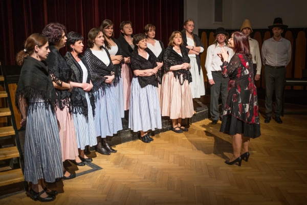 Akademie Gymnázia Františka Palackého Valašské Meziříčí, 1. 4. 2016, KZ VM (foto: Ivan Dostál)